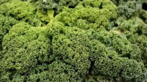 What Are the Benefits of Eating Kale